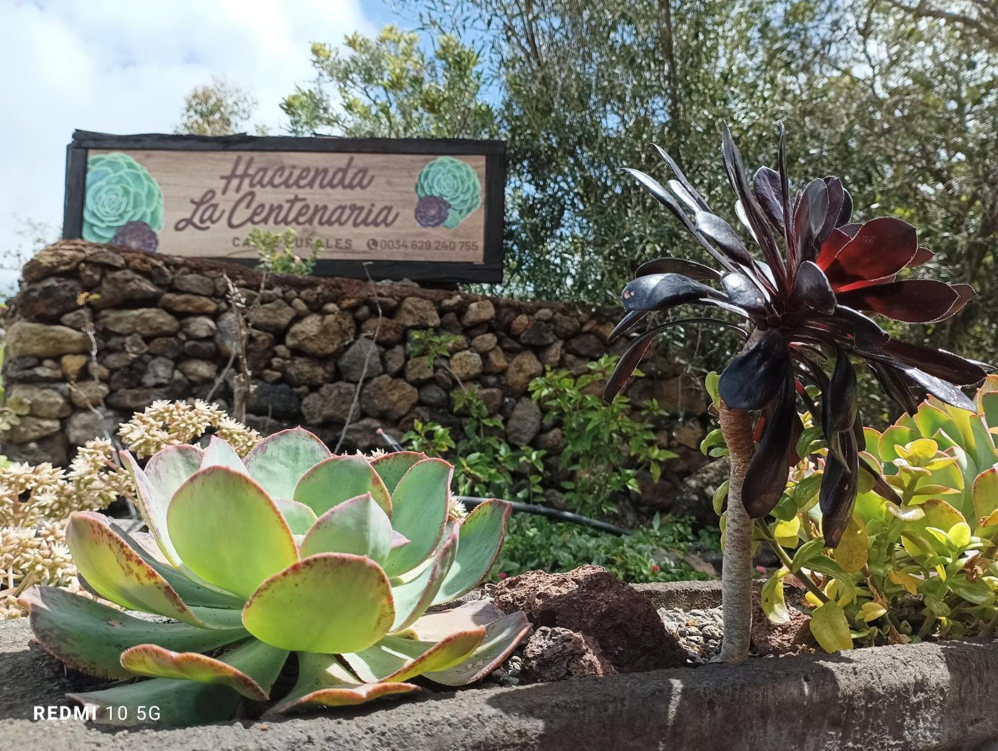Hacienda La Centenaria,Casas Rurales El Paso Kültér fotó